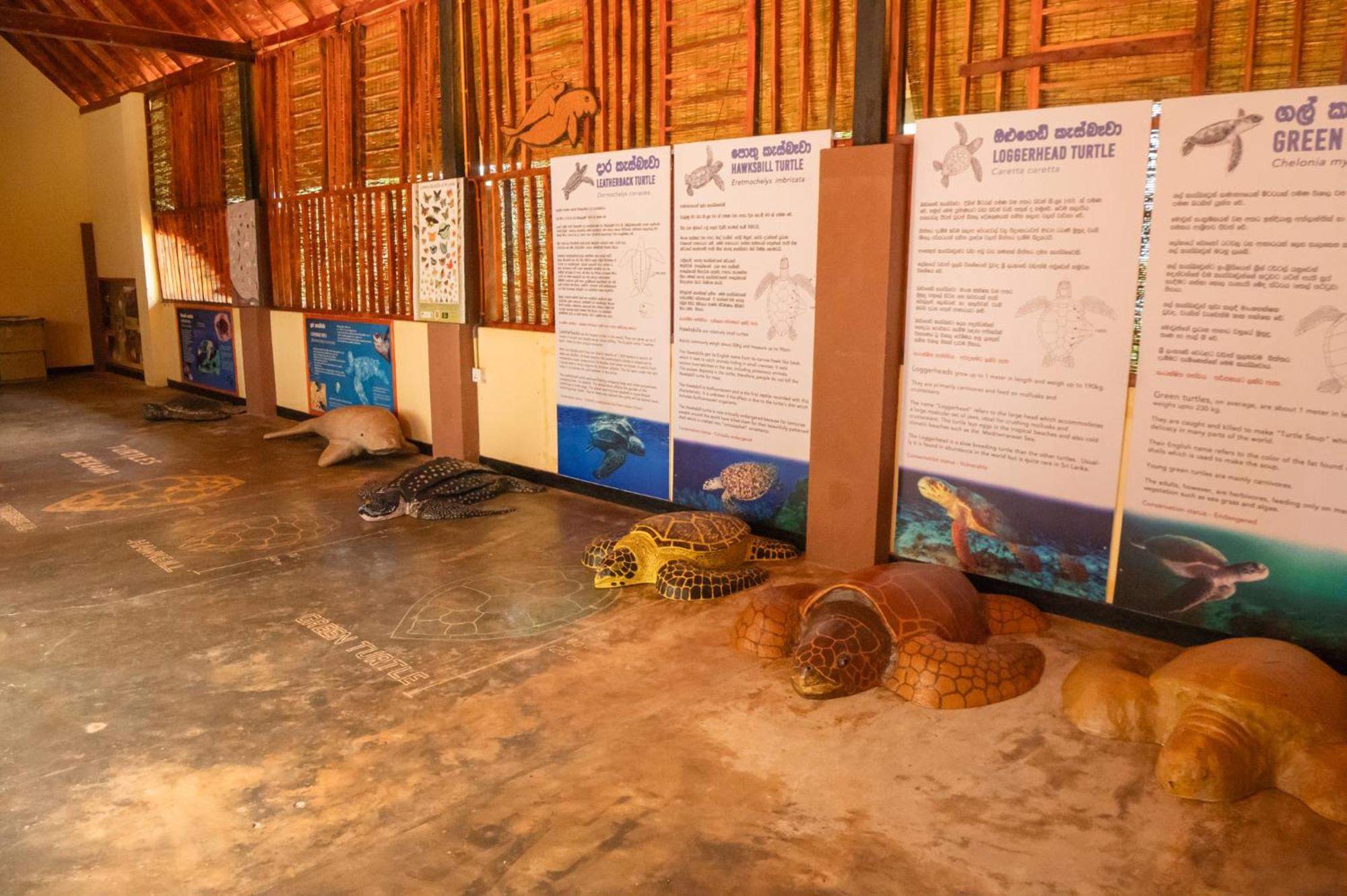 Rekawa Turtle Gate Hotel Tangalle Exterior foto